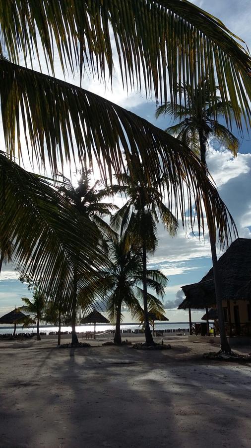 Emma Bay Beach House Michamvi 外观 照片