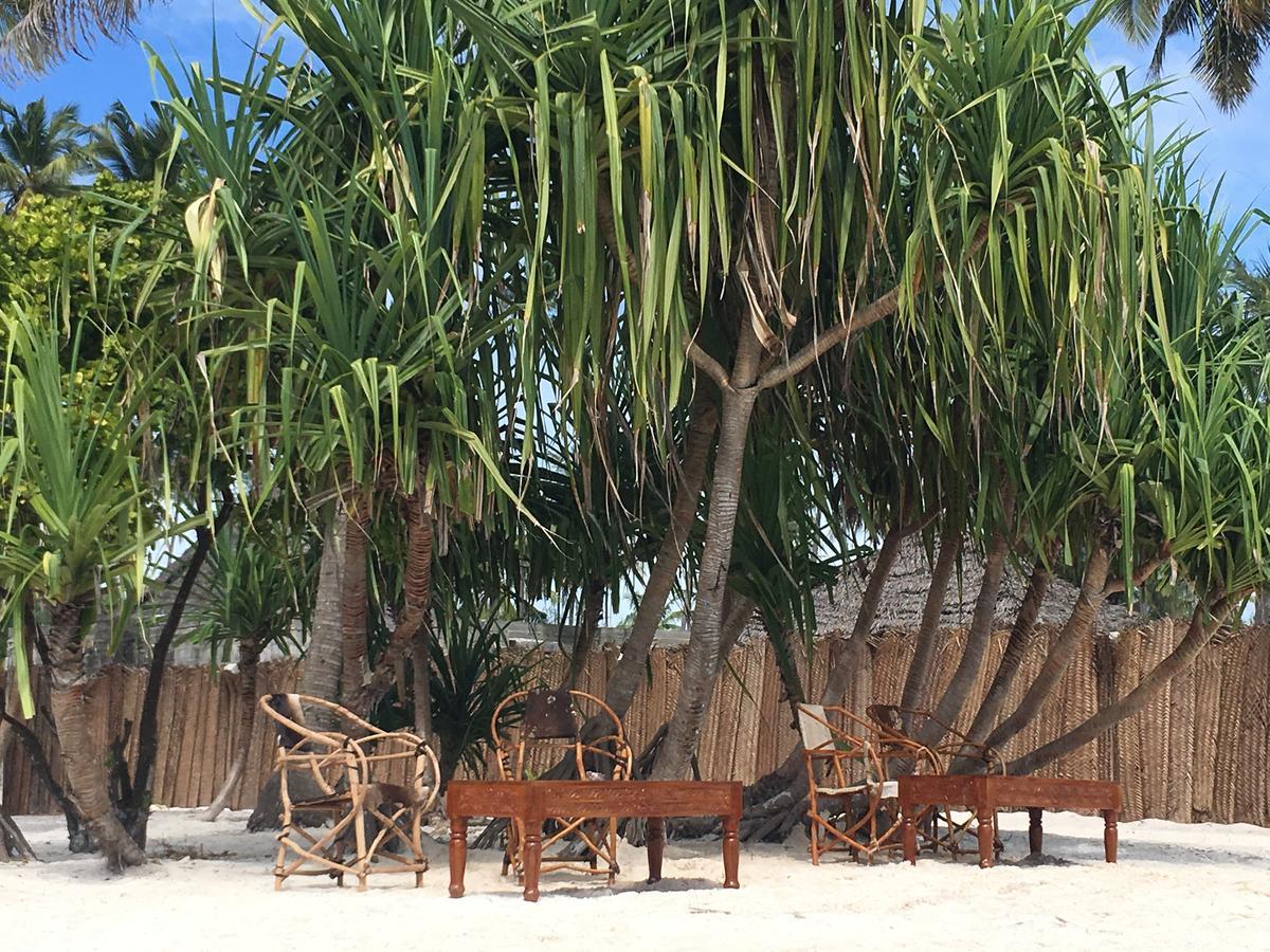 Emma Bay Beach House Michamvi 外观 照片