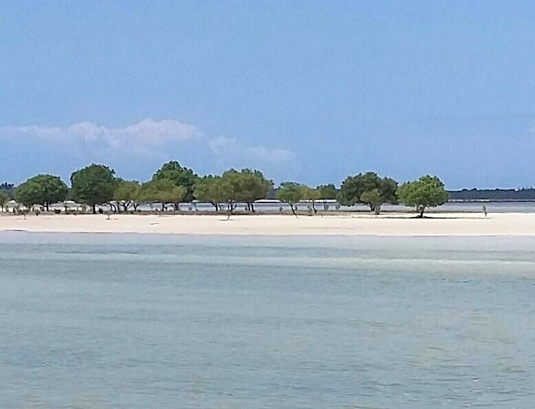 Emma Bay Beach House Michamvi 外观 照片